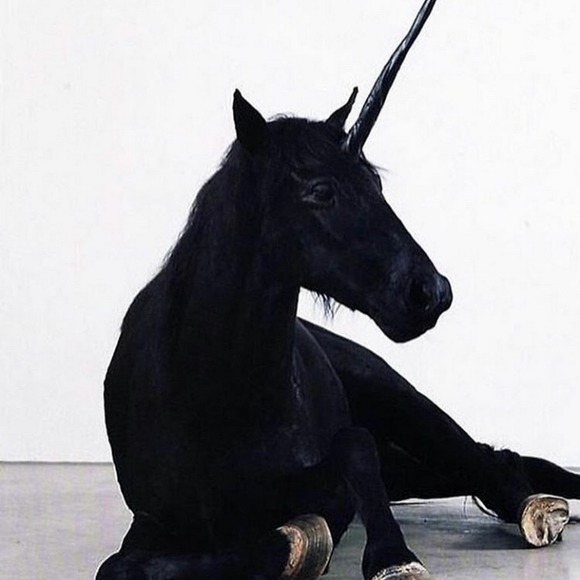 Meet your Posher, Chelsea - Picture 1 of 1